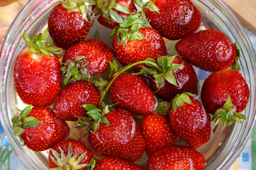 Fresh strawberry in capacity with water