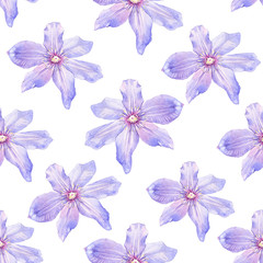 Spring seamless background with watercolor clematis. 