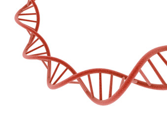 Red DNA.