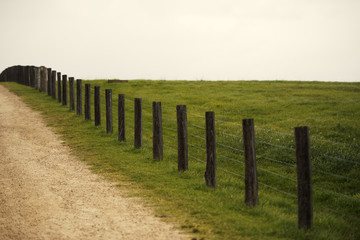 Fence on a paddock during the day
