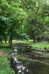 bridge/ small bridge crossing a canal in the forest