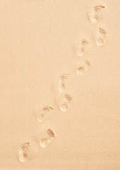 Fototapeta na wymiar Line a bare footprints meandering across the frame