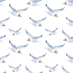 Summer watercolor seamless pattern with sea gull