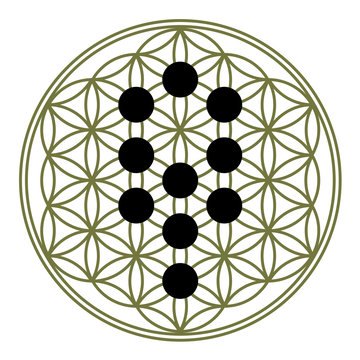 Flower Of Life, 10 Sephirot, Tree Of Life, Kabbalah