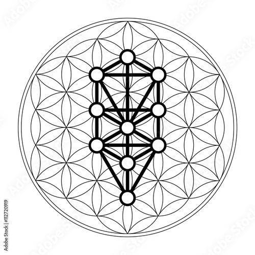 Free Free Flower Of Life Svg Download 603 SVG PNG EPS DXF File