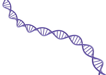 Purple DNA.