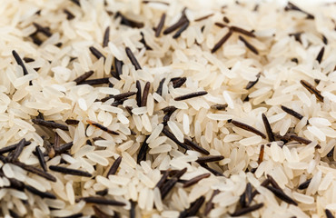 long rice background, uncooked raw cereals, macro closeup