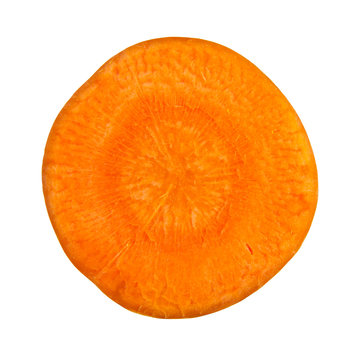 Carrot slice Isolated on white