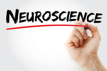 Hand writing Neuroscience with marker concept