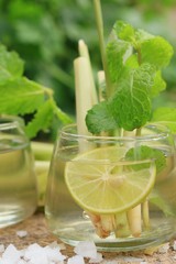 Fototapeta premium herb drink lemon grass