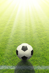 Ein Fußball liegt vor einer Linie auf dem Rasen in der strahlenden Sonne © Fotoschlick