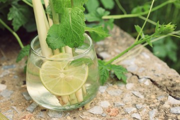 herb drink lemon grass