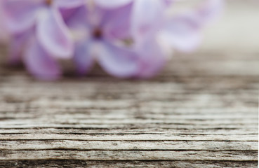 lilac flowers on old dark wooden surface. focus in foreground