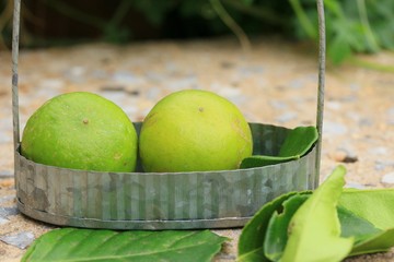 lemon