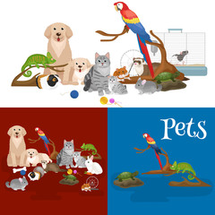 Home pets set, cat dog parrot goldfish hamster, domesticated animals