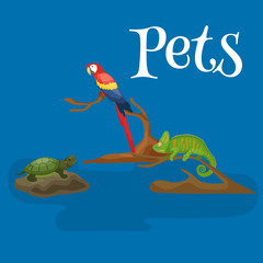 Home pets set, cat dog parrot goldfish hamster, domesticated animals