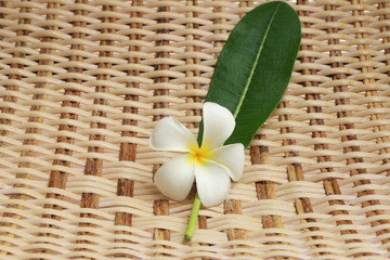 Wood texture background.Wood texture.Wood texture and background