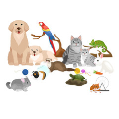 Home pets set, cat dog parrot goldfish hamster, domesticated animals