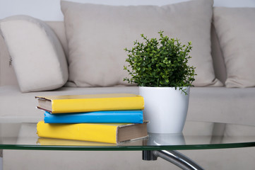 stack of books placed on table in living room