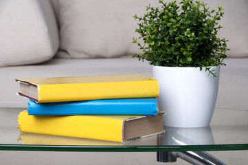 stack of books placed on glass table in living room