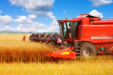 Combine working in field