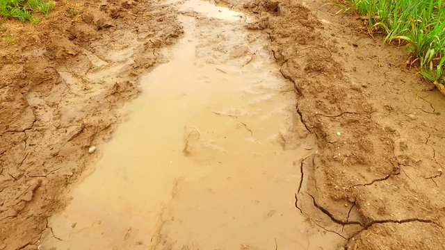 Water and mud on a path on the field.