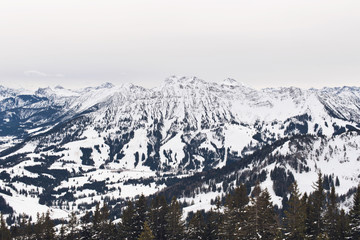 Fototapeta na wymiar Snow covering mountain with trees