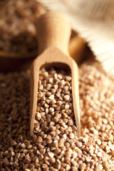 Buckwheat and wooden scoop