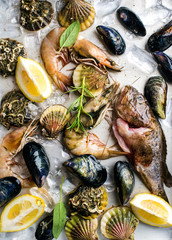 Fresh seafood with herbs and lemon on ice. Prawns, fish, mussels, scallops over steel metal tray