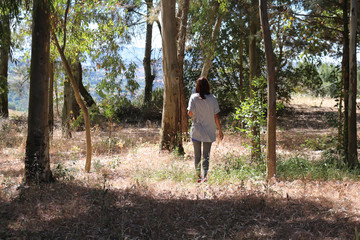 woman walks between trees