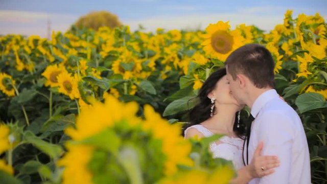 Couple in love surrounded by sunflowers