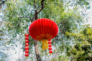 Chinese lantern. Cambodia. Phnom Penh.
