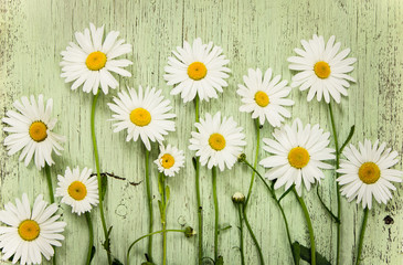 Chamomile flowers on green wooden rustic background.