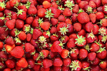 Red strawberries