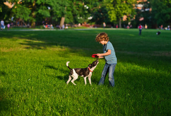 The boy of 8-9 years plays together with the doggy on a green grass in park.