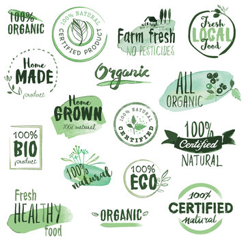 Organic food stickers and badges. Hand drawn watercolor vector illustration set for food and drink, restaurant, natural products.