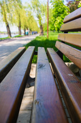 Fototapeta na wymiar Bench in a city Park