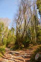 Deux directions pédestre (Vercors / Isère)