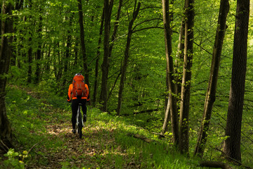 Obraz premium Cyclist Riding the Bike on a Trail in Summer Forest