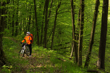 Cyclist Riding the Bike on a Trail in Summer Forest