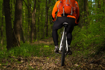 Cyclist Riding the Bike on a Trail in Summer Forest