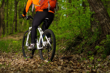 Naklejka premium Cyclist Riding the Bike on a Trail in Summer Forest