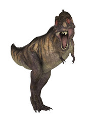 3D Rendering Dinosaur Tyrannosaurus on White