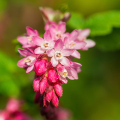 Obraz premium Enjoying The Sunshine