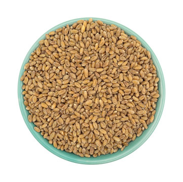 Top view of a bowl of red winter wheat berries isolated on a white background.
