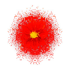 Abstract color splashed flower seed illustration.