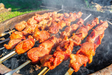 Pork shashlik