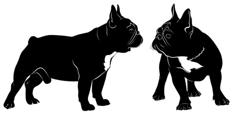 Dog Bulldog Photos Royalty Free Images Graphics Vectors Videos Adobe Stock