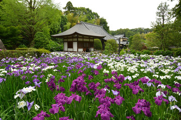 寺院の庭園