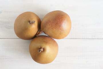 Taylor's gold a New Zealand pear variety related to the Comice pear © David Pimborough